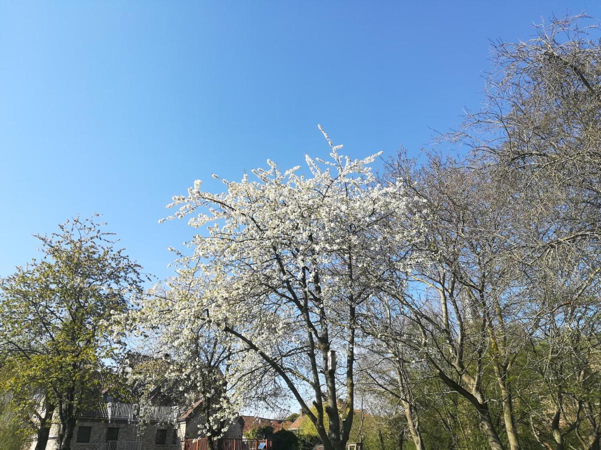 De Dubbelmolen 3*