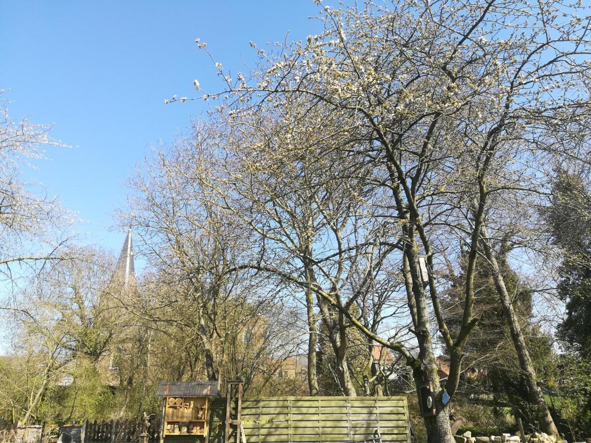 De Dubbelmolen 3*